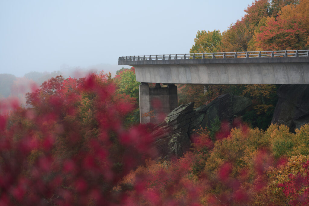 Linn Cove Viaduct in morning fog surrounded by vibrant fall colors